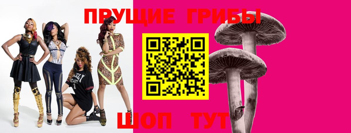 Псилоцибиновые грибы Cubensis  Вход с VPN  Ухта 